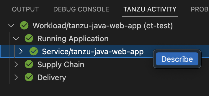 VS Code Tanzu Activity tab showing the describe action on the tanzu-java-web-app service.