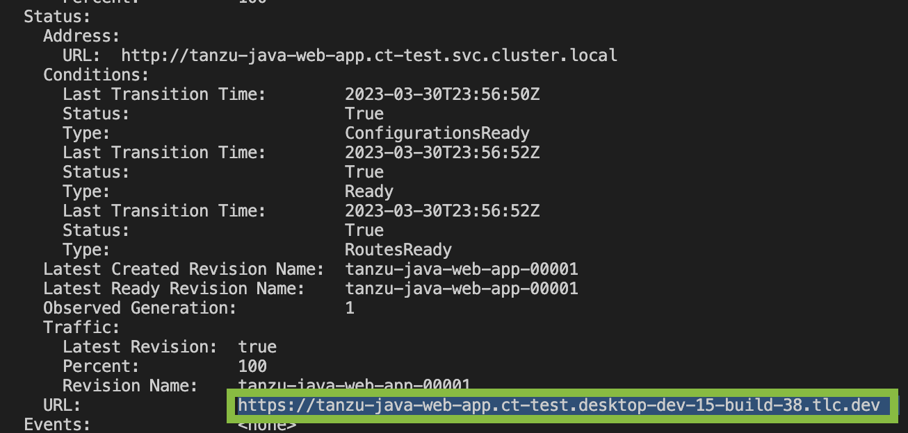 VS Code terminal showing the pod url.