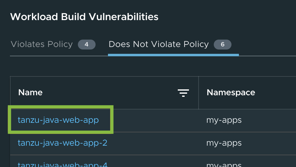 Close-up screenshot of the Workload Build vulnerability summary.
