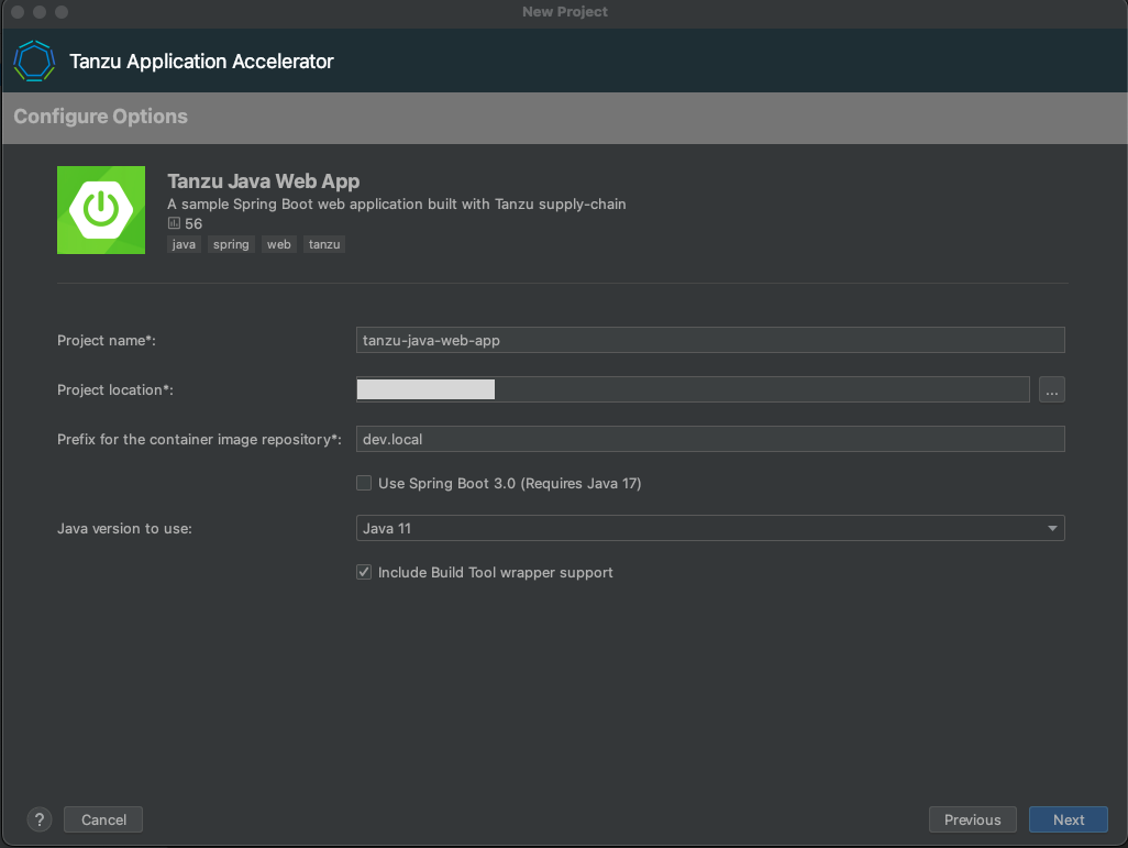 The IntelliJ UI showing the Configure Options pane for the Tanzu Java Web App accelerator with the fields filled in.