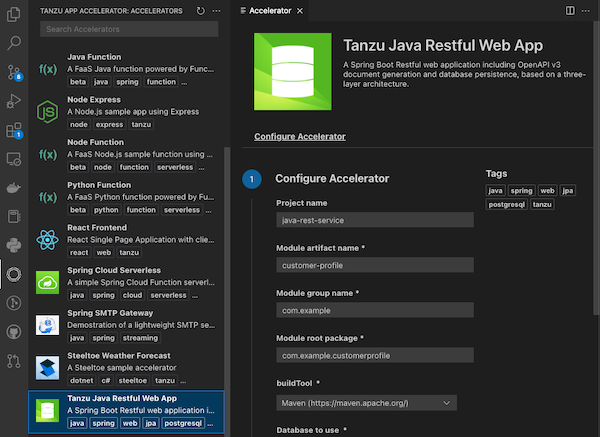 The Tanzu Java Restful Web App accelerator form. The text boxes display example text.