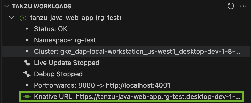 The Knative URL is shown in the Tanzu Workloads panel.