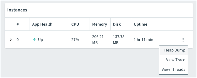 Instances page showing App Health, CPU, Memory, Disk, and Uptime.