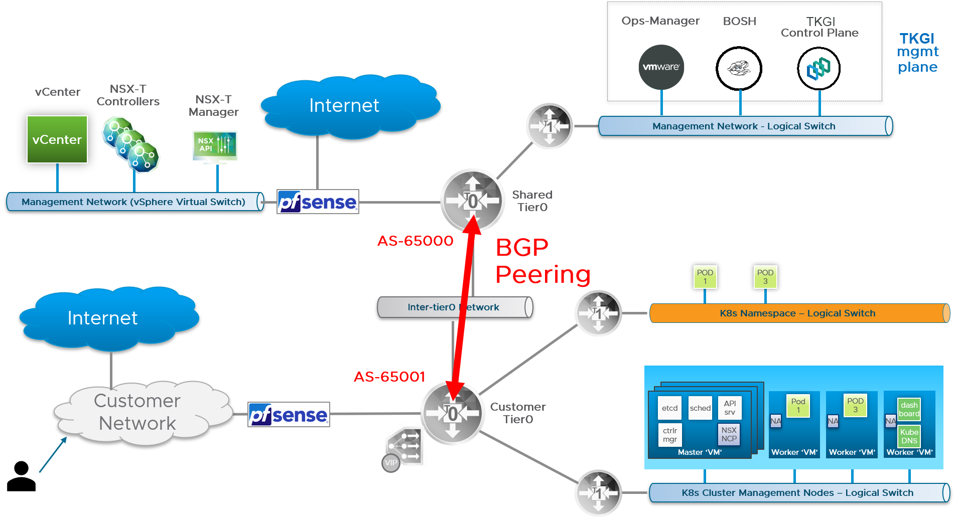 BGP for Multi-T0