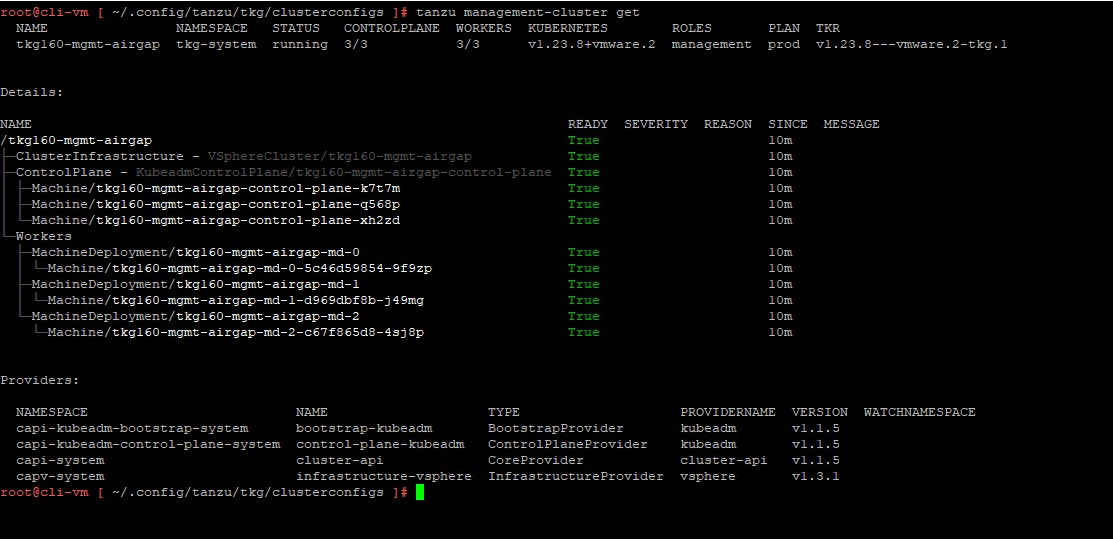 TKG management cluster status