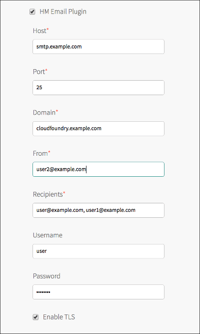 There is a selected check box, HM Email Plug-in, and seven text boxes: Host, Port, Domain, From, Recipients, Username, and Password.