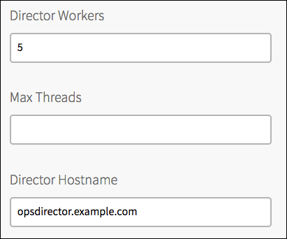 There are three text boxes, Director Workers, Max Threads, and Director Hostname.