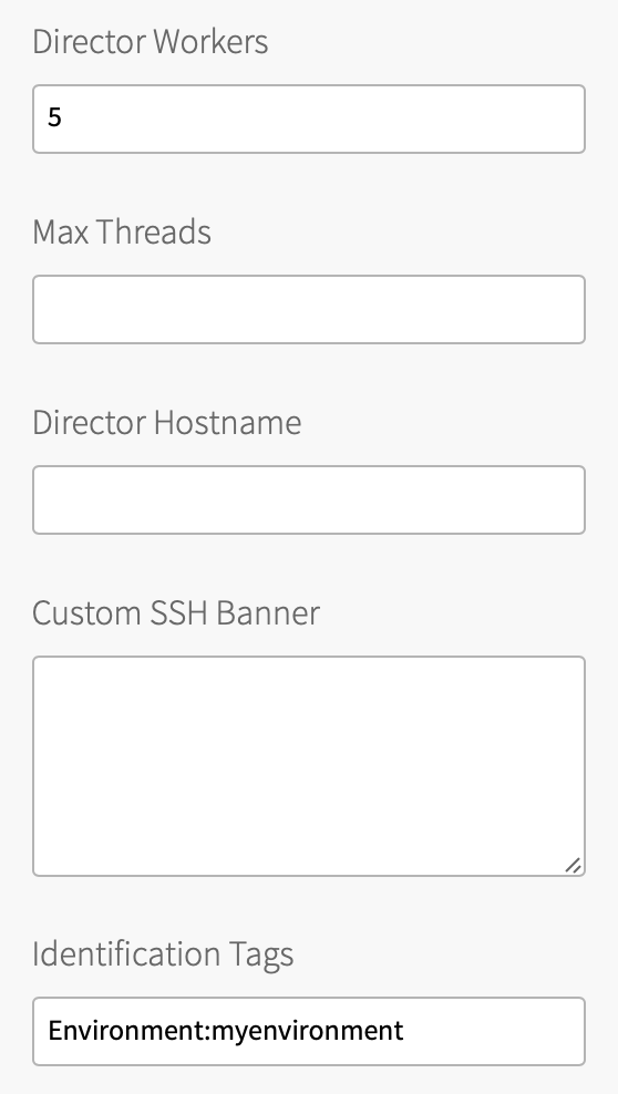 There are five text boxes: Director Workers, Max Threads, Director Hostname, Custom SSH Banner, and Identification Tags.