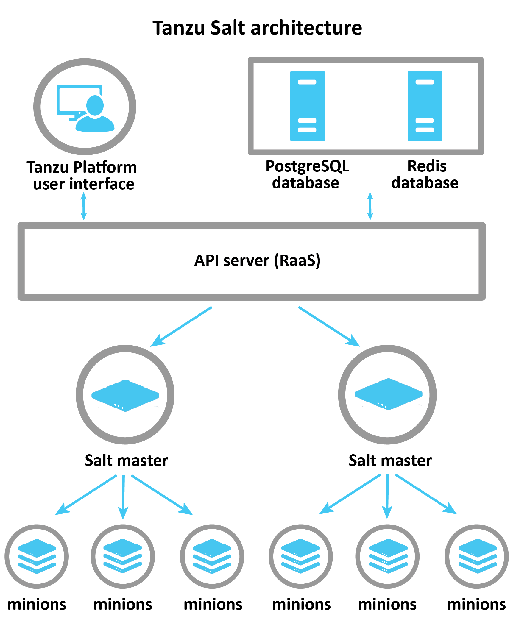 Tanzu Salt architecture