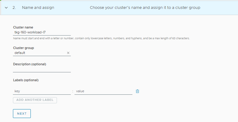 Enter cluster name and select cluster group for workload cluster