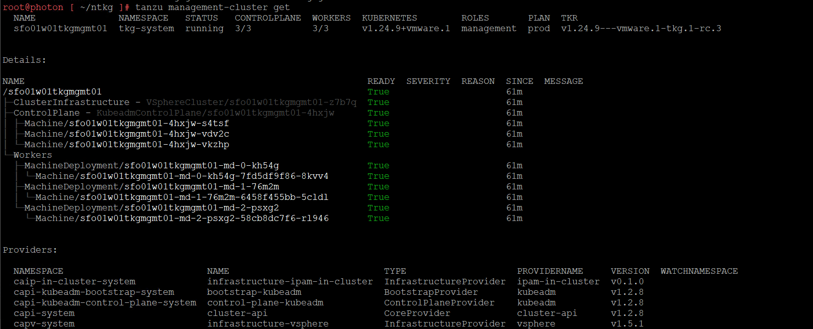 Management cluster status CLI output