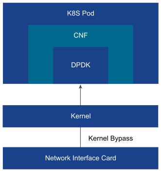 DPDK Passthrough