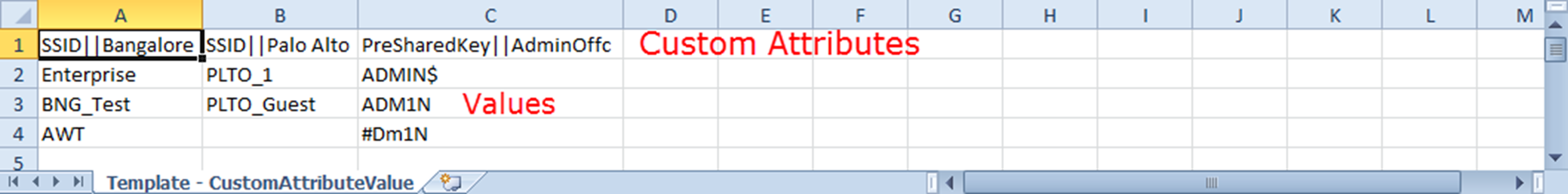 The screenshot shows a sample of the custom attribute values template.