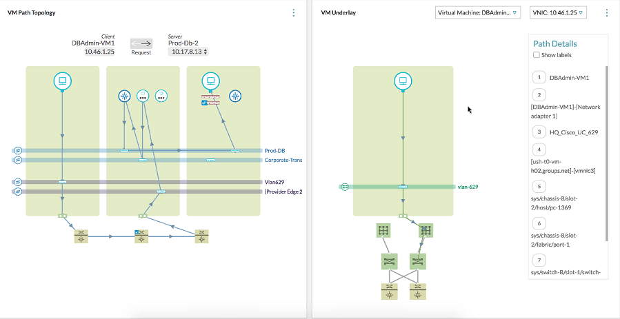 The path topology of a VM with path details.