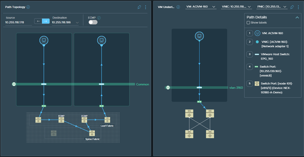 VM-VM path through Cisco ACI leaf and spine fabric.