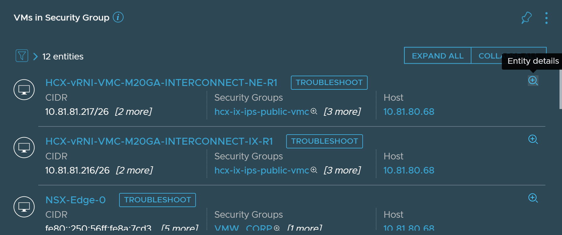 VMs that are part of the same security group displaying details such as host and CIDR.