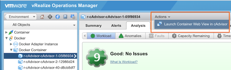 actions_launch_container_web_view_in_cAdvisor