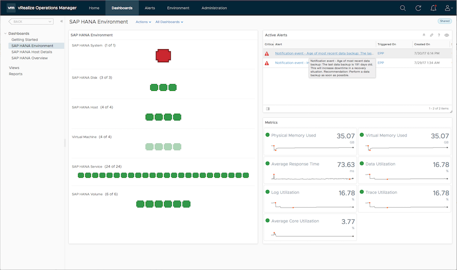 SAP HANA Environment