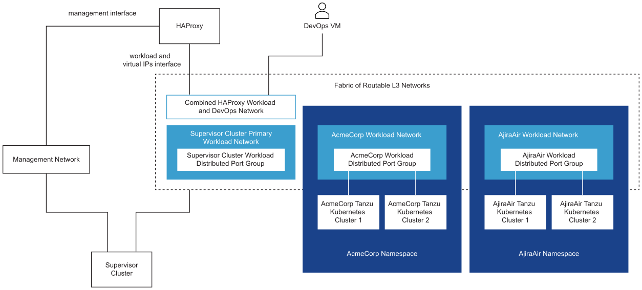 Supervisor Cluster Backed by Multiple Isolated Workload Networks