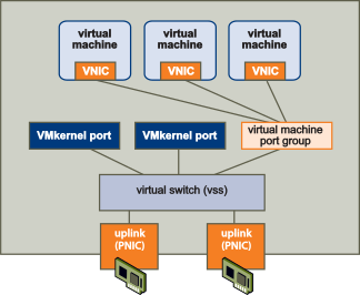 Shows virtual machines in a port group using uplinks to a VSS virtual switch.