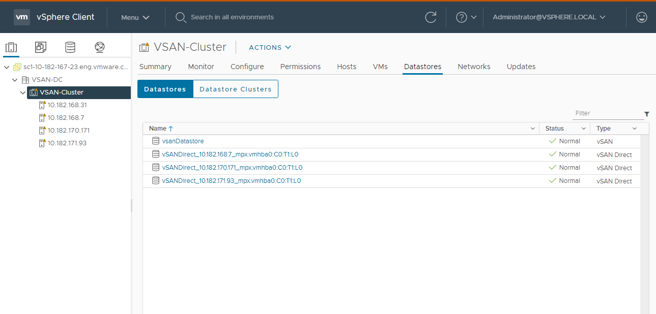 vSAN Direct datastore appears on the list