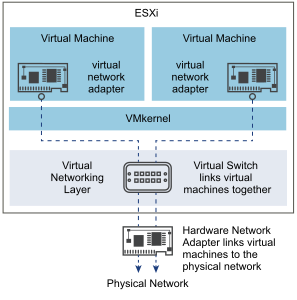 Virtual networking through virtual switches for ESXi