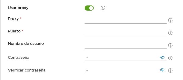 Los campos obligatorios relacionados con el proxy rellenados en