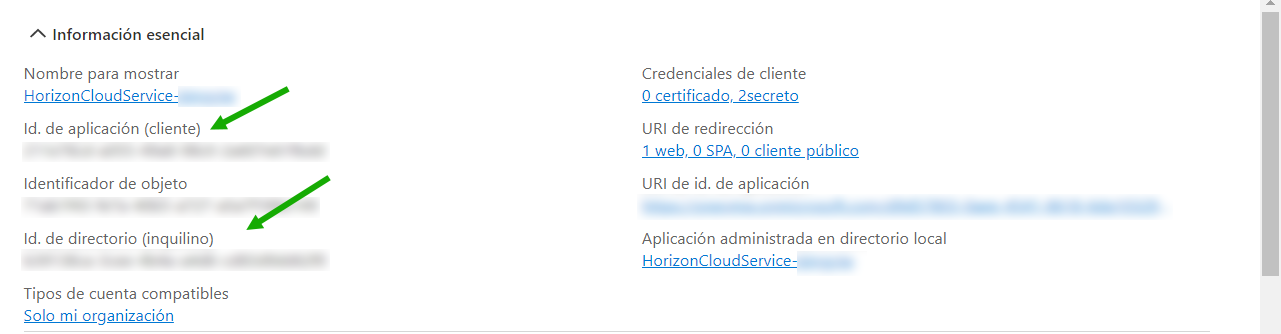 Captura de pantalla que muestra los detalles esenciales que aparecen en el portal de Azure sobre nuestro registro de aplicaciones de ejemplo, al que hemos llamado hcs-poc1.