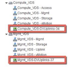 El VDS de equipo y el VDS de administración contienen un grupo de puertos DVUplinks.