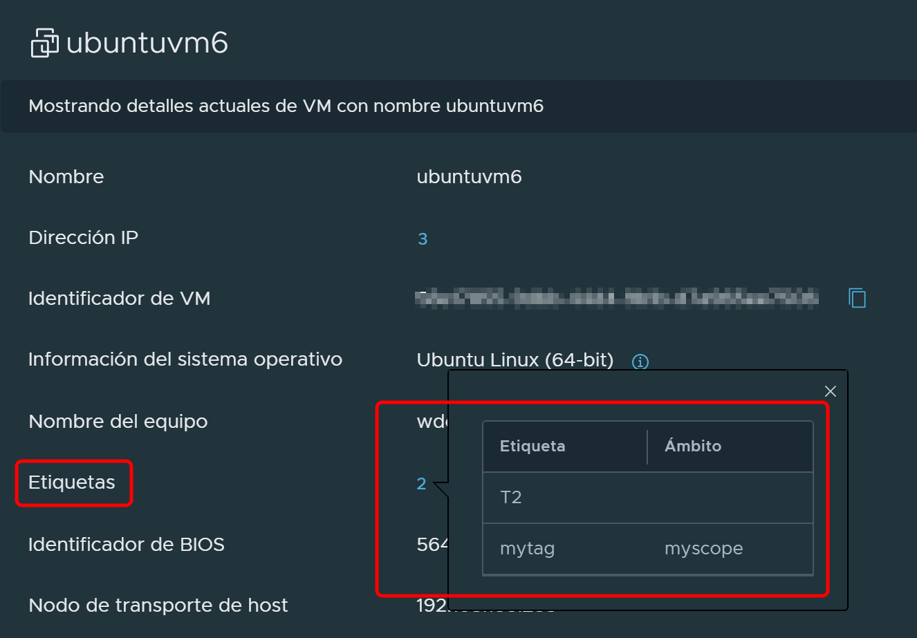 Cuadro de diálogo Información de la máquina virtual con los detalles de la asignación de etiquetas.