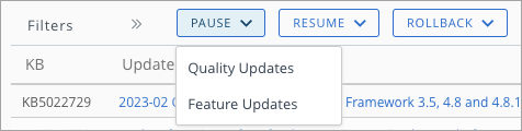 Se muestran los botones de actualizaciones de Windows que se agregaron.