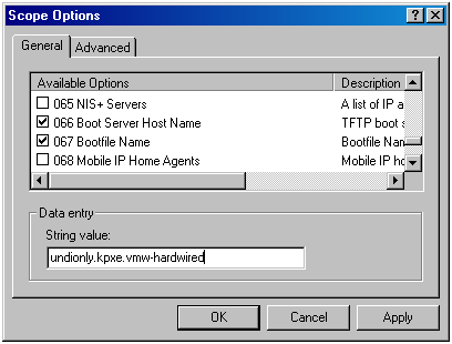 Vmware dhcp