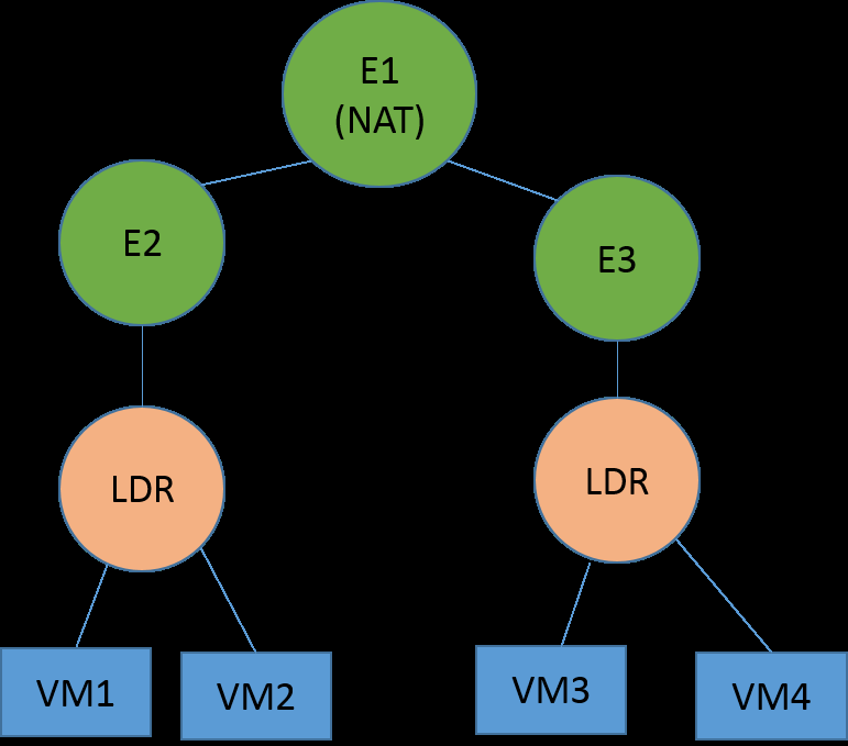 Exemple de topologie dans laquelle E2, E3, les LDR et les machines virtuelles font partie du domaine NAT E1.