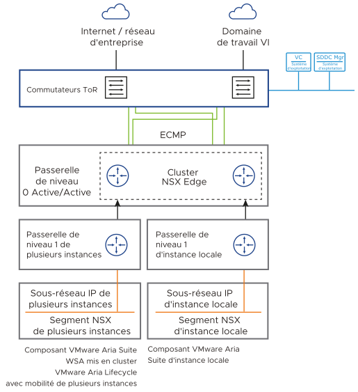 Les deux AVN sont utilisés. L'un s'applique au trafic dans l'instance de VCF, connecté à une passerelle de niveau 1 locale. L'autre s'applique au trafic de plusieurs instances et est connecté à une passerelle de niveau 1 de plusieurs instances.