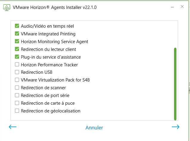 Capture d'écran du reste de l'écran d'options qui s'affiche lors de l'exécution d'Horizon Agents Installer sur une machine virtuelle disposant du type de système d'exploitation RDSH.