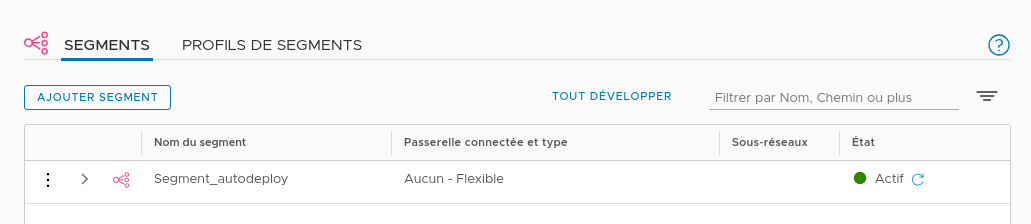 Dans l'onglet Segments, créez un segment VLAN pour une zone de transport.