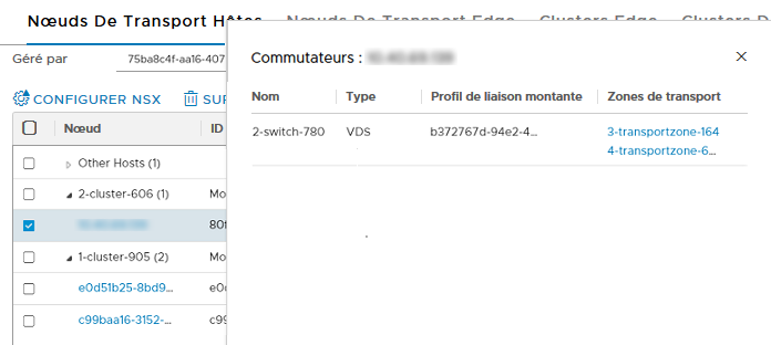 La sélection du nœud de transport affiche les détails du commutateur VDS ainsi que son profil de liaison montante et ses zones de transport associés.