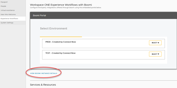 Capture d'écran de la page Experience Workflows montrant la section INFORMATIONS SUR L'INSTANCE BOOMI