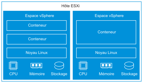 Hôte ESXi contenant deux zones d'espace vSphere. Chaque espace vSphere dispose de conteneurs qui s'y exécutent, d'un noyau Linux, d'une mémoire, d'un CPU et de ressources de stockage.