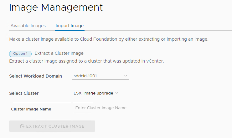 Sezione Opzione 1 per l'importazione di un'immagine del cluster con il dominio del carico di lavoro e il cluster selezionati