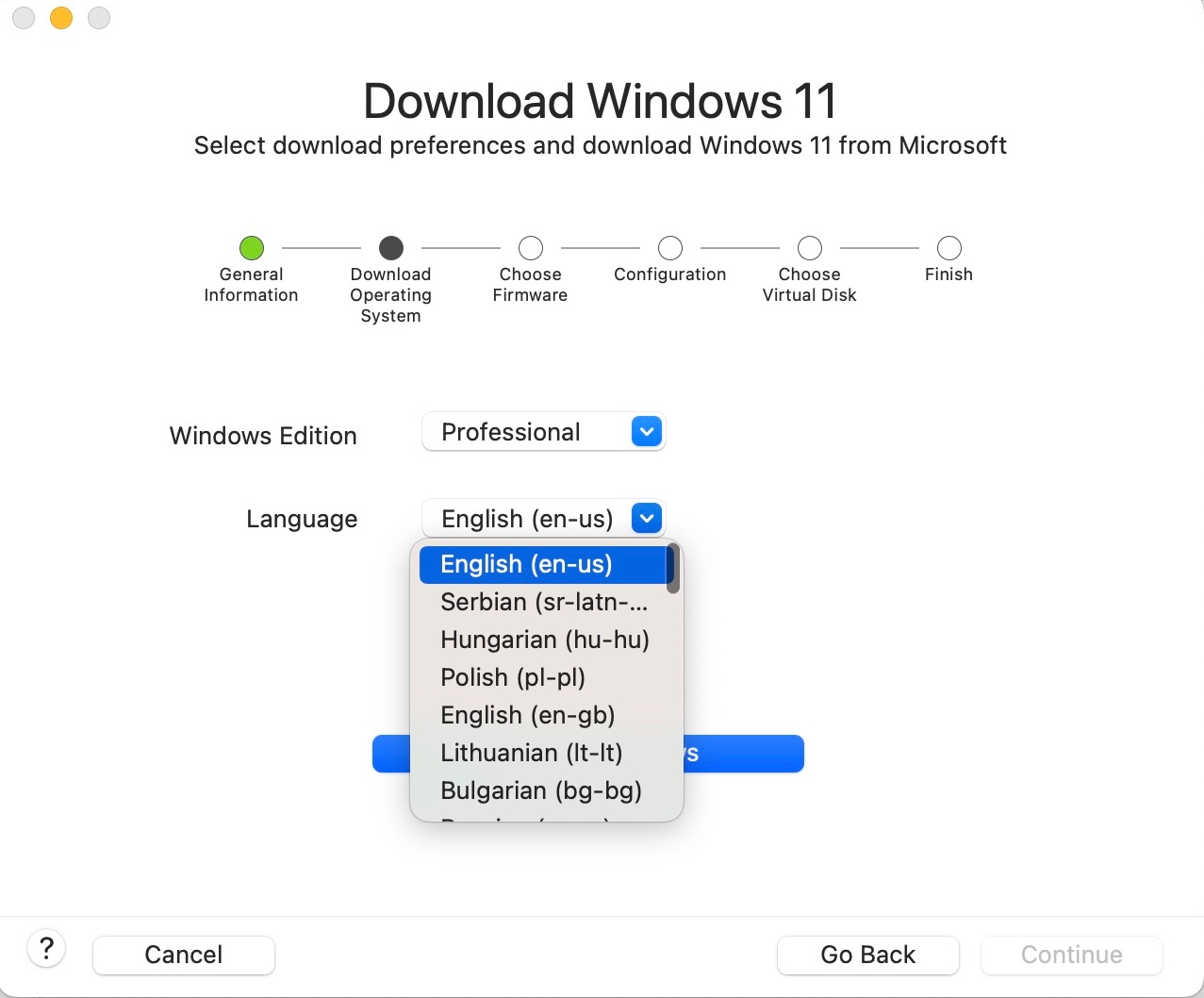 La schermata mostra il campo per selezionare la lingua preferita per Windows 11.