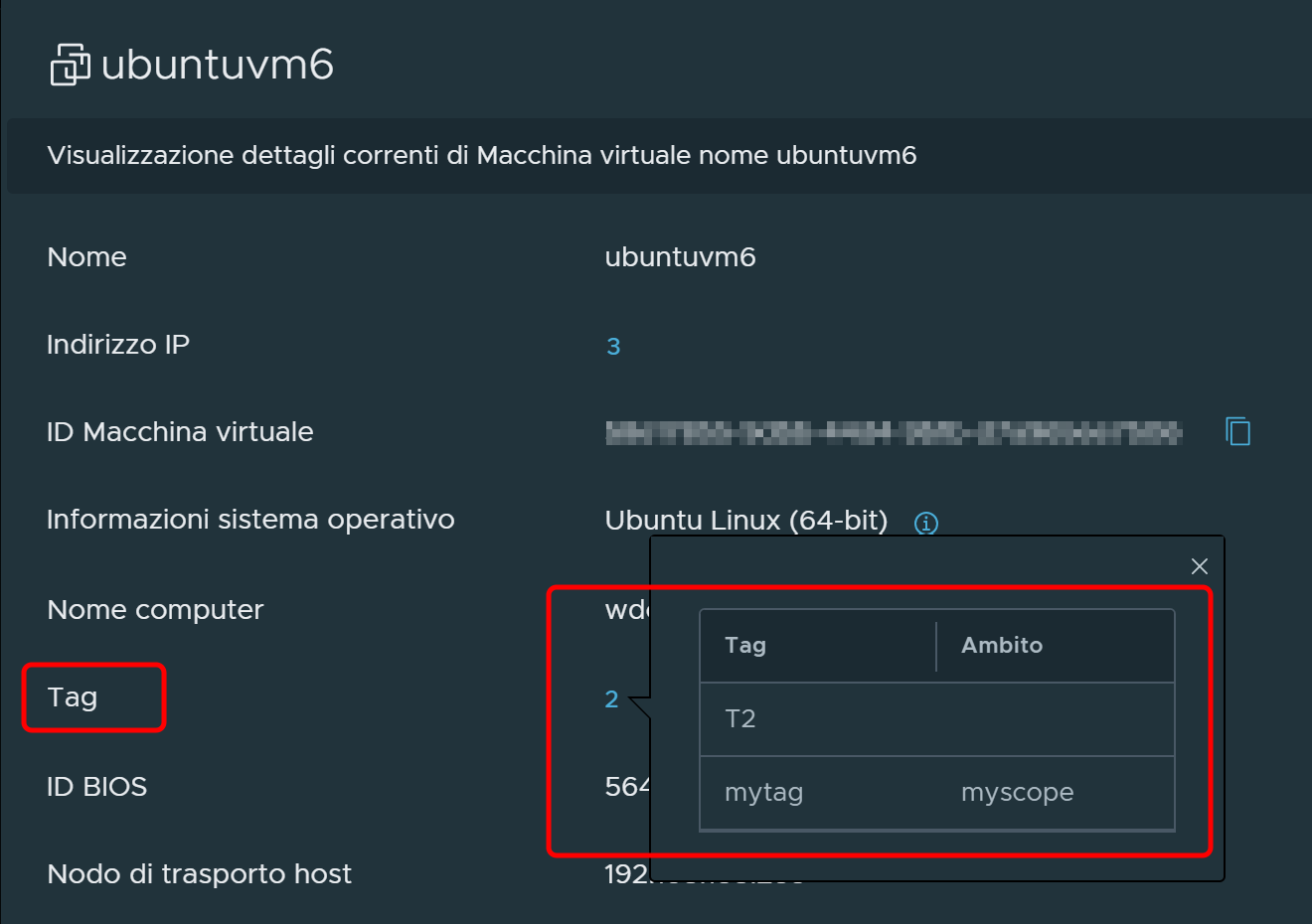 Finestra di dialogo Informazioni macchina virtuale in cui sono visualizzati i dettagli dell'assegnazione del tag.