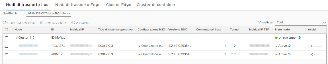 Nella pagina Nodo di trasporto host visualizzare gli host di riferimento preparati come nodi di trasporto.