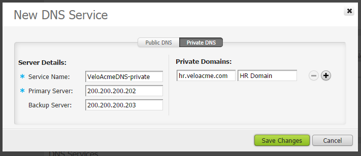 configure-network-services-new-dns-private