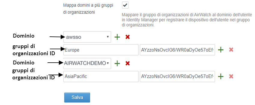 Screenshot che mostra due domini mappati a gruppi di organizzazioni diversi con chiavi della REST API amministratore diverse