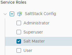 Il ruolo di servizio Salt Master selezionato per il servizio SaltStack Config