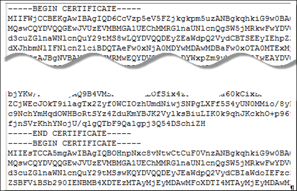 単一行に置かれた情報および埋め込み改行文字を含む証明書ファイルの例