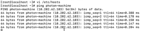 Linux マシンで ping FQDN コマンドを実行した結果