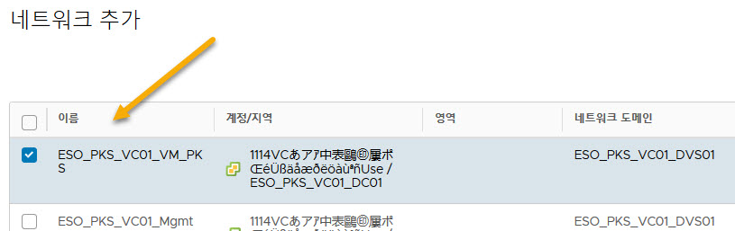 이 화면에 표시된 sddc-cgw-network-1이라는 네트워크를 선택합니다.