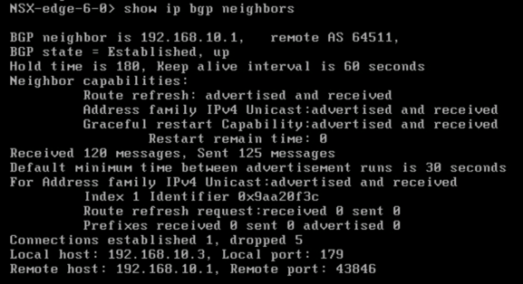 DLR에서 BGP 상태가 설정됩니다.